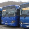 Old buses go out of the lines of urban routes in Vladivostok
