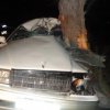 Rammed a tree, a young driver in Primorye in coma
