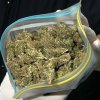 Three pounds of marijuana seized from a former policeman