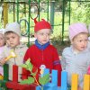 Business Vladivostok suggested making the construction of kindergartens