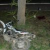 In Primorye mopedist died, crashing into a tree at night