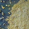 In Primorye, seized 107 illegal gold bullion