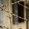 In Primorye, sentenced a group of teenagers in the case of