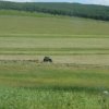 Maritimes rice producers need support
