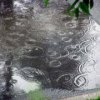 Погода в Примор'ї: 24 липня