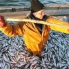 The project of creating a cluster of fish in Primorye approved in Moscow