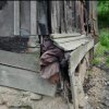 208 damaged houses will be resettled in Primorye