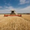 Farmers continue to Primorye grain harvesting