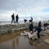 In Khabarovsk Krai Uferbefestigung Arbeiten werden rund um die Uhr durchgef
