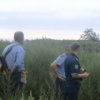 In Primorje, zerst"orte sieben Zentren des Wachstums der wilden Hanf