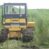 In Primorje, zerst"orte sieben Zentren des Wachstums der wilden Hanf