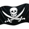 La lotta contro la pirateria coster`a Russia quasi 100 milioni di euro ogni anno