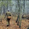 Mushroomer schiacciato albero in Primorye