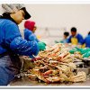 On the beach in Andreevka implemented hazardous to health seafood
