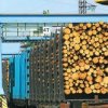 Viktor Ischajew gesagt, was Holz ins Ausland zu verkaufen