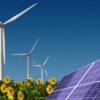 In Primorje, werden erneuerbare Energien
