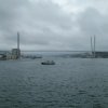 In the waters of the Golden Horn bay in the vicinity of 42 berth detected
