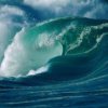 Ученые 19 стран обсудят в Приморье систему предупреждения цунами