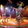 Владивосток членка цирка продължава да извършва одит