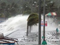 Тайфун «Хайян» наделал бед