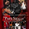 12,13 марта в 19.00 на сцене  Пушкинского театра ДВФУ состоится Мировая премьера спектакля фламенко «Pura Sangre»