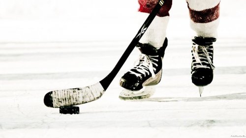 Сахалинские хоккеисты войдут в состав Азиатской хоккейной лиги