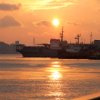 Моряки из Владивостока и Находки бастуют в Южной Корее