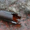 Молодой житель Владивостока убил женщину «розочкой»