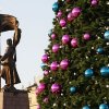 Приобретение новогодней ели, упавшей в прошлом году на центральной площади Владивостока, признано незаконным