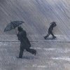 Во Владивостоке в понедельник ожидаются ливневые осадки