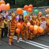 БИ-2 выступит для жителей Владивостока на День амурского тигра