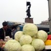 Предпраздничные продовольственные ярмарки во Владивостоке