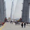 Государственный орден за трудовые успехи вручат во Владивостоке участнику строительства Золотого моста