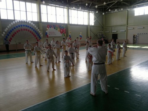 Лесозаводск приморский край новости. Лесозаводск Приморский край спорткомплекс. Спортивный комплекс п. Пластун. Спортивный комплекс в Лесозаводске. Школа Пластун Приморский край.