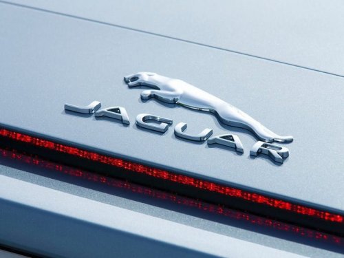 Jaguar      - 