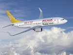 Pegasus Airlines      