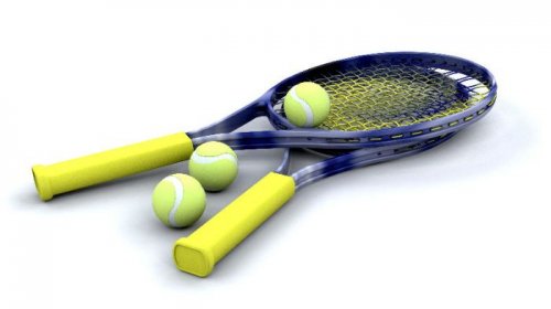Во Владивостоке пройдет чемпионат по теннису