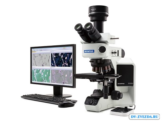 Микроскопы Olympus - качество и надежность